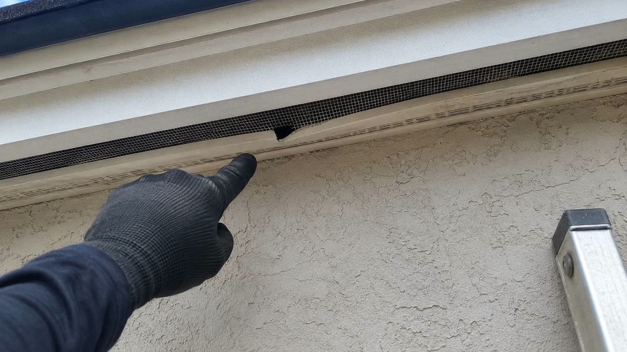 Attic Entry Point Soffit Inspection near Orlando