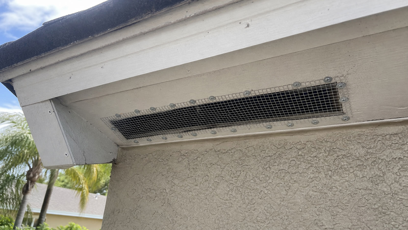 Orlando jobsite detail from orlando attic animal removal work detail photo